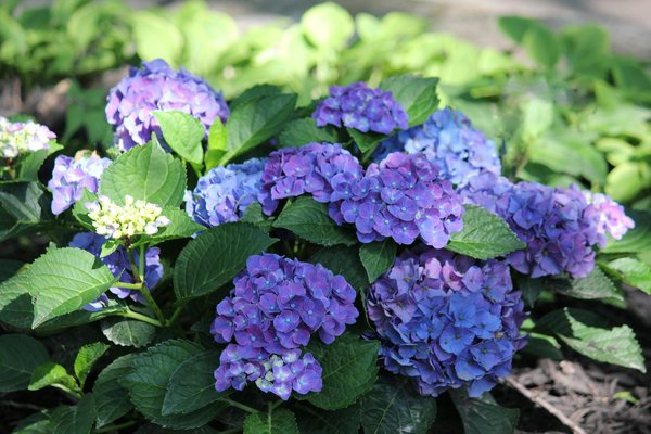 Essential Features for Crafting Your Zen-Inspired Bedroom Retreat in the UK